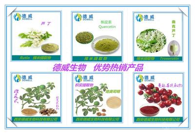 番瀉葉提取物 功效、市場價(jià)格與西安產(chǎn)業(yè)概況